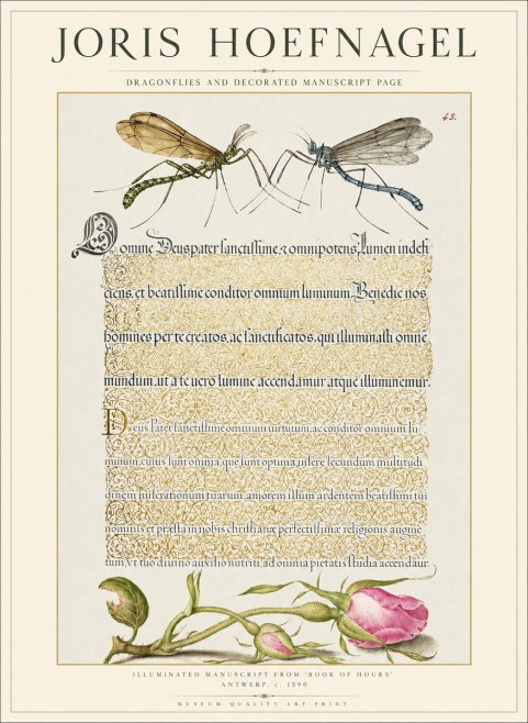 Joris Hoefnagel Dragonflies and Decorated Manuscript Page No1 - Póster