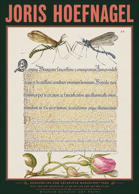 Joris Hoefnagel Dragonflies and Decorated Manuscript Page No3 - Póster