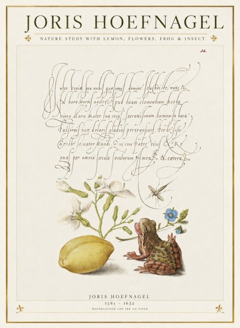 Joris Hoefnagel Nature Study with Lemon, Flowers, Frog & Insect No1 - Póster