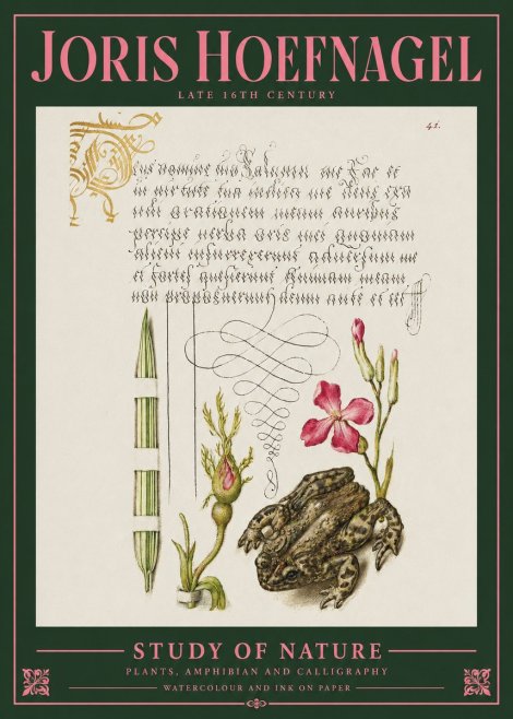 Joris Hoefnagel Study of Nature I No2 - Póster
