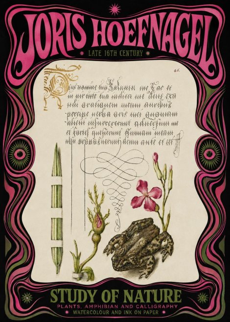 Joris Hoefnagel Study of Nature I No3 - Póster