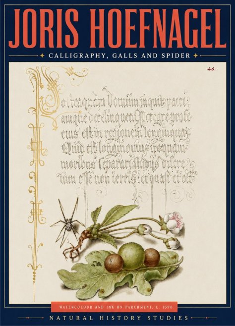 Joris Hoefnagel Plant with Galls and Insect No5 - Póster