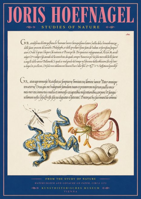Joris Hoefnagel From the Study of Nature No2 - Póster