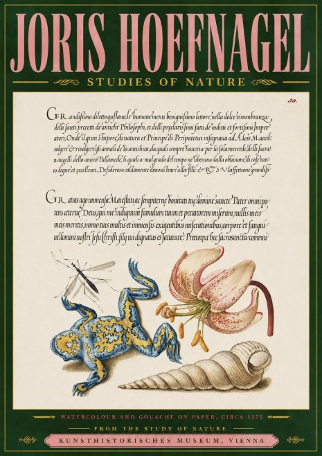 Joris Hoefnagel From the Study of Nature No4 - Póster