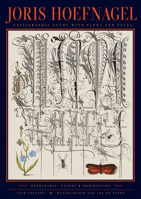 Joris Hoefnagel Calligraphic Study with Flora and Fauna No2 - Póster