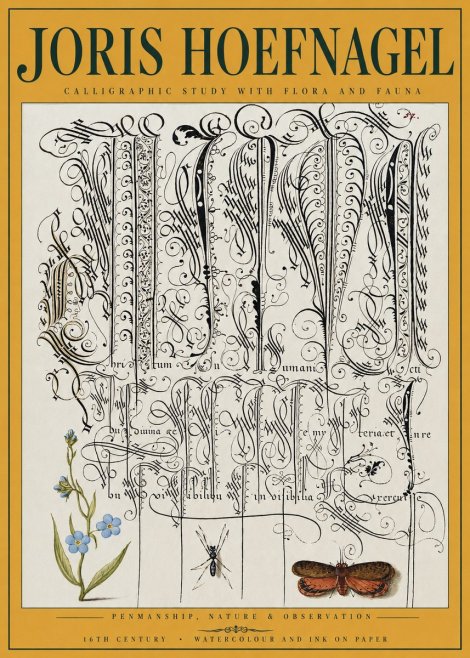 Joris Hoefnagel Calligraphic Study with Flora and Fauna No3 - Póster