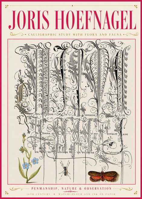 Joris Hoefnagel Calligraphic Study with Flora and Fauna No6 - Póster