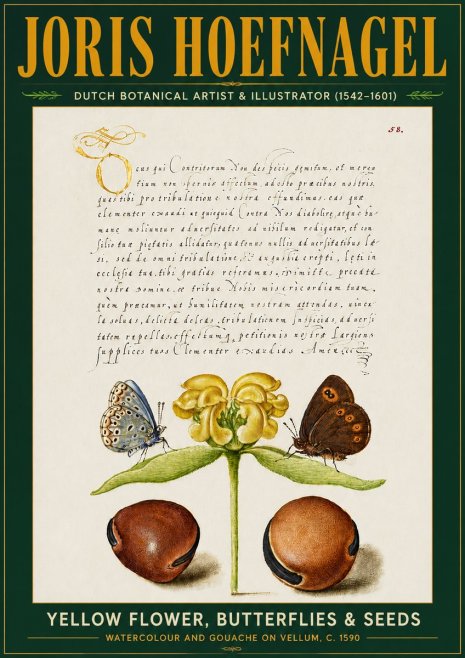 Joris Hoefnagel Yellow Flower, Butterflies & Seeds No5 - Póster