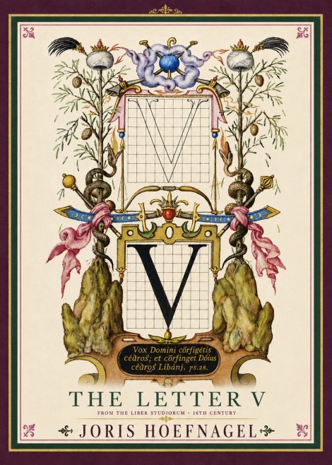 Joris Hoefnagel The Letter V No4 - Póster