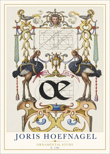 Joris Hoefnagel Ornamental Study I No1 - Póster
