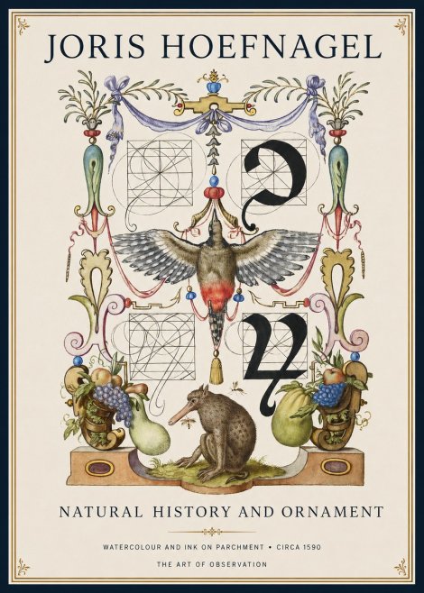 Joris Hoefnagel Study of Nature and Ornament No2 - Póster
