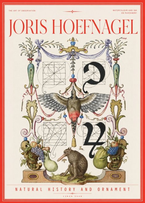 Joris Hoefnagel Study of Nature and Ornament No3 - Póster