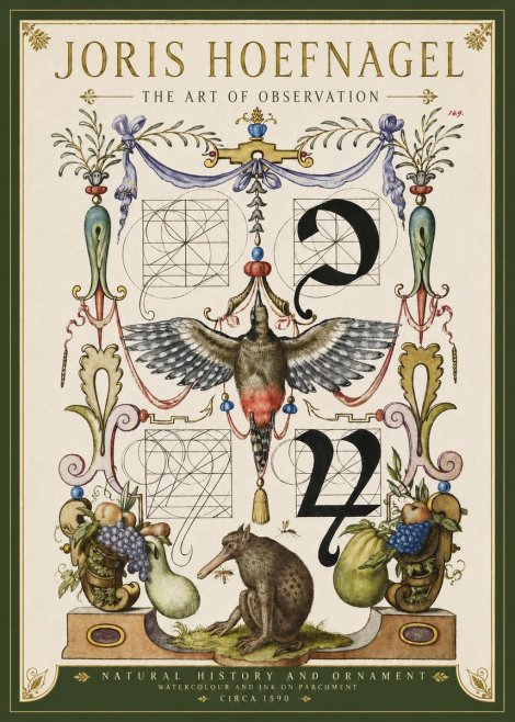 Joris Hoefnagel Study of Nature and Ornament No4 - Póster