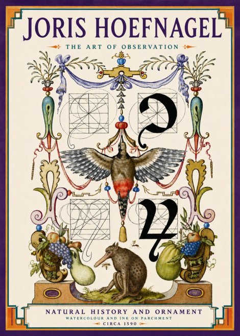 Joris Hoefnagel Study of Nature and Ornament No6 - Póster