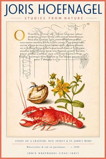 Joris Hoefnagel Studies from Nature No4 - Póster