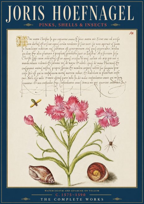 Joris Hoefnagel Pinks, Shells & Insects No5 - Póster