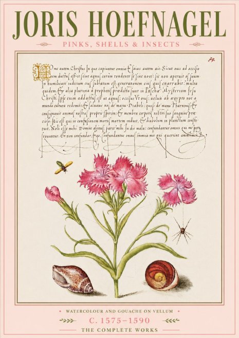 Joris Hoefnagel Pinks, Shells & Insects No6 - Póster