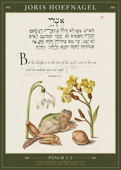 Joris Hoefnagel Psalm 1:2 No1 - Póster