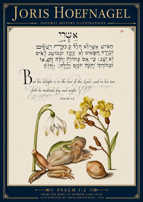 Joris Hoefnagel Psalm 1:2 No6 - Póster