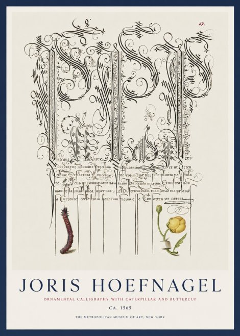Joris Hoefnagel Ornamental Calligraphy with Caterpillar and Buttercup No1 - Póster