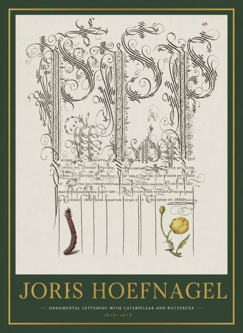 Joris Hoefnagel Ornamental Calligraphy with Caterpillar and Buttercup No2 - Póster