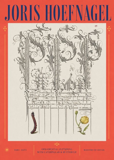 Joris Hoefnagel Ornamental Calligraphy with Caterpillar and Buttercup No3 - Póster