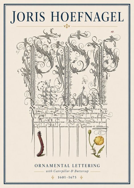 Joris Hoefnagel Ornamental Calligraphy with Caterpillar and Buttercup No4 - Póster