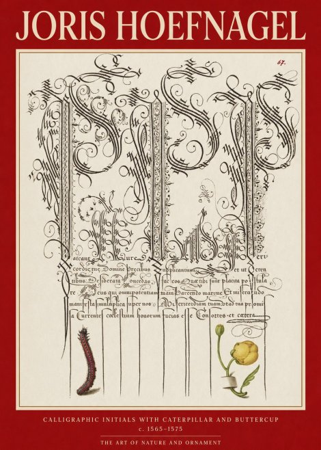 Joris Hoefnagel Ornamental Calligraphy with Caterpillar and Buttercup No6 - Póster