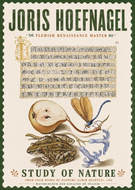Joris Hoefnagel Study of Nature II No6 - Póster