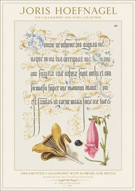Joris Hoefnagel Ornamented Calligraphy with Flowers and Beetle No1 - Póster