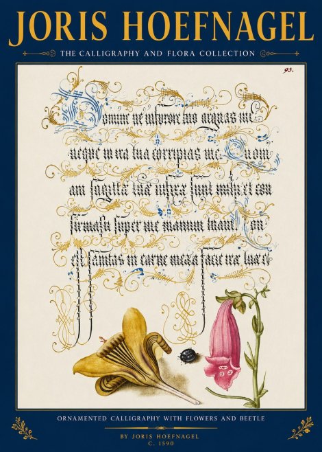 Joris Hoefnagel Ornamented Calligraphy with Flowers and Beetle No2 - Póster