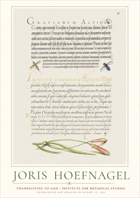 Joris Hoefnagel Thanksgiving to God • Institute for Botanical Studies No1 - Póster