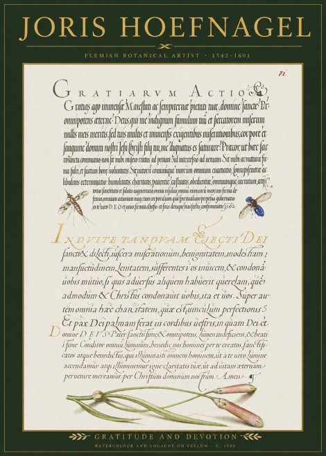Joris Hoefnagel Thanksgiving to God • Institute for Botanical Studies No3 - Póster