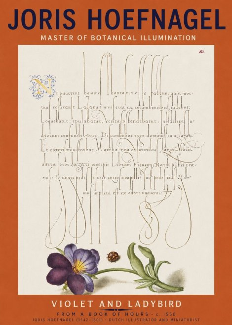 Joris Hoefnagel Violet and Ladybird No2 - Póster