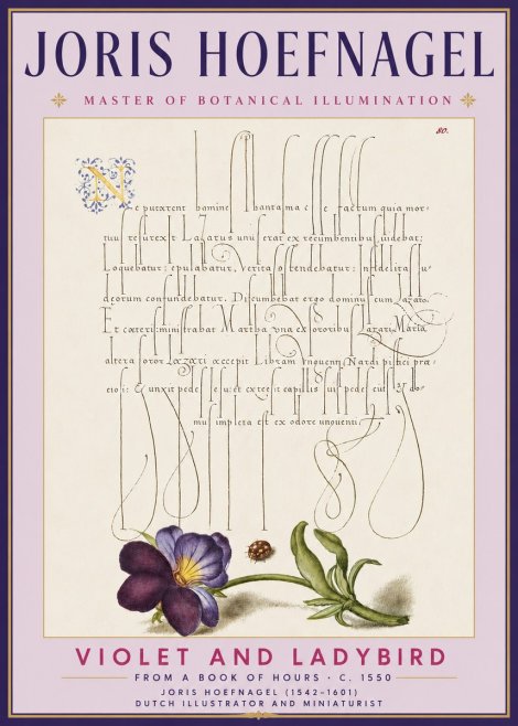 Joris Hoefnagel Violet and Ladybird No3 - Póster