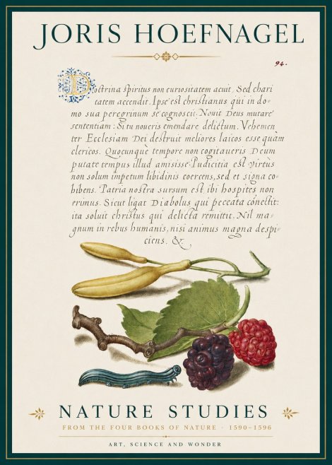Joris Hoefnagel Nature Studies No3 - Póster