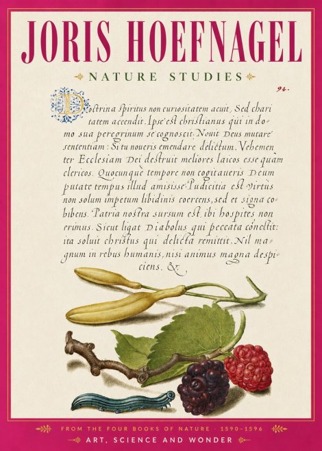 Joris Hoefnagel Nature Studies No6 - Póster