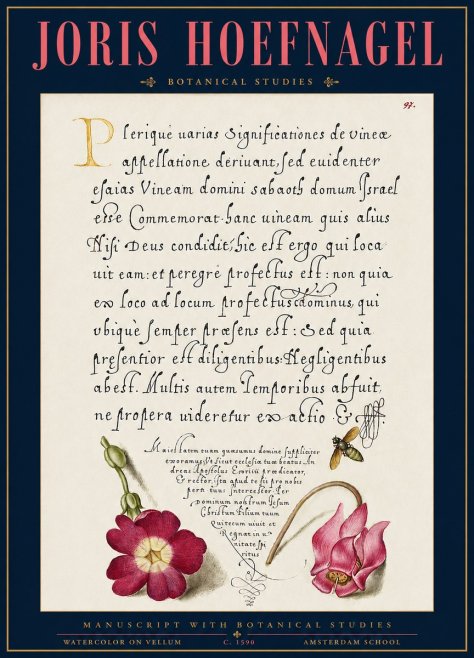Joris Hoefnagel Manuscript with Botanical Studies No3 - Póster