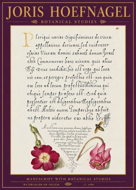 Joris Hoefnagel Manuscript with Botanical Studies No5 - Póster