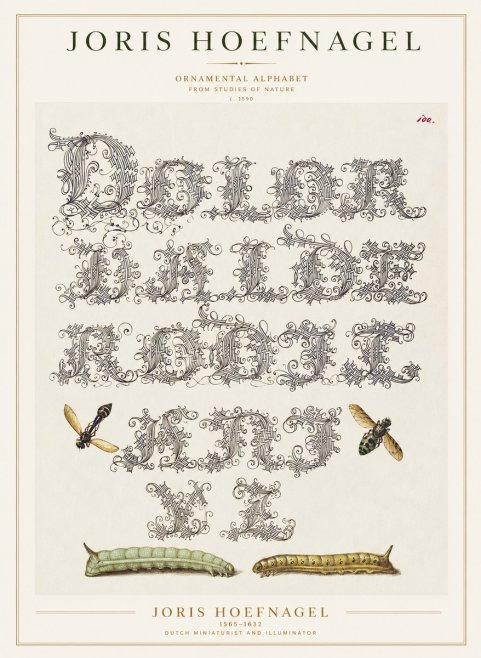 Joris Hoefnagel Ornamental Alphabet from Studies of Nature No1 - Póster