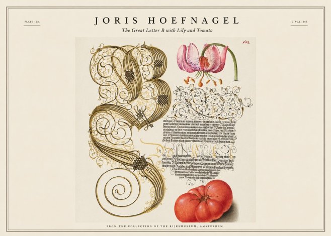 Joris Hoefnagel The Great Letter B with Lily and Tomato No1 - Póster