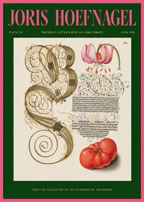 Joris Hoefnagel The Great Letter B with Lily and Tomato No2 - Póster