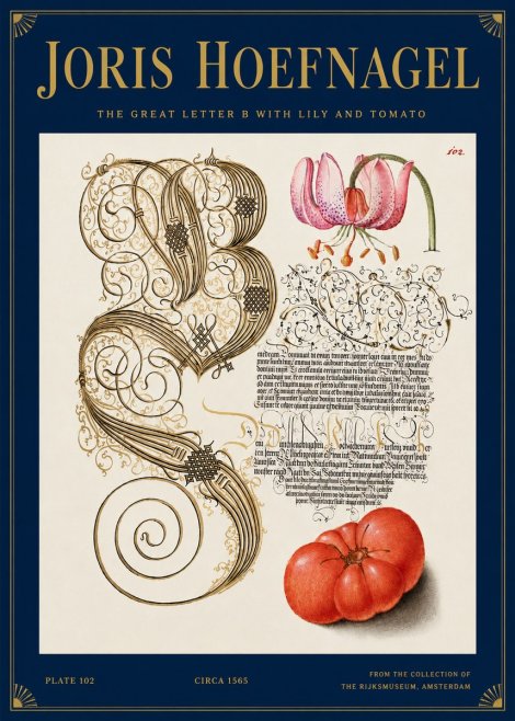 Joris Hoefnagel The Great Letter B with Lily and Tomato No3 - Póster