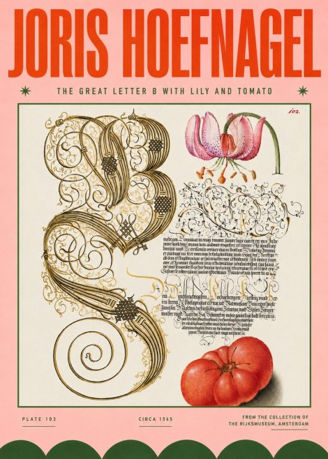 Joris Hoefnagel The Great Letter B with Lily and Tomato No4 - Póster