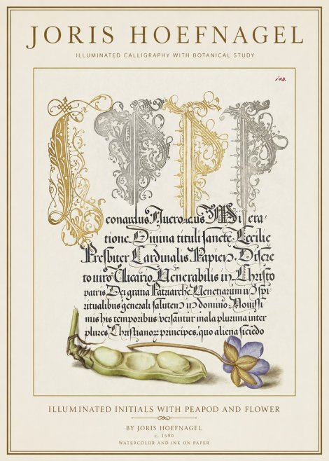 Joris Hoefnagel Illuminated Initials with Peapod and Flower No1 - Póster