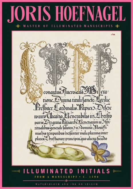 Joris Hoefnagel Illuminated Initials with Peapod and Flower No6 - Póster