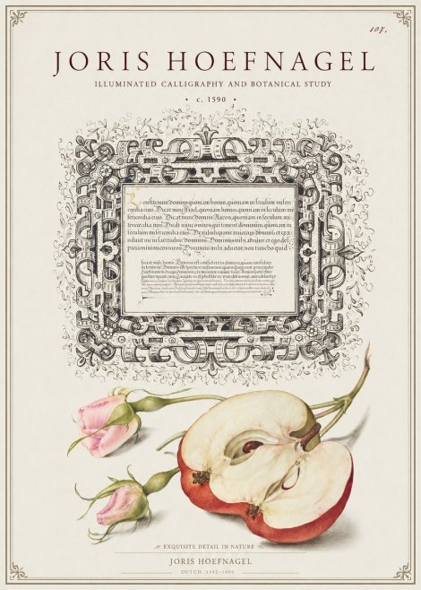 Joris Hoefnagel Illuminated Calligraphy and Botanical Study No1 - Póster