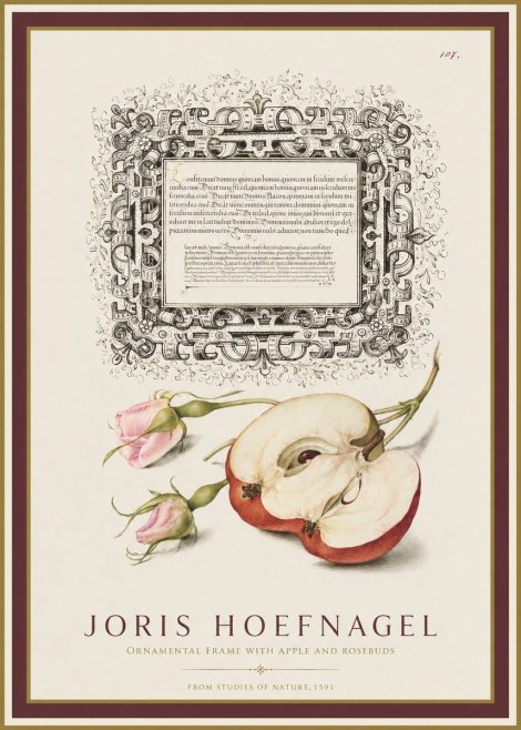 Joris Hoefnagel Illuminated Calligraphy and Botanical Study No2 - Póster