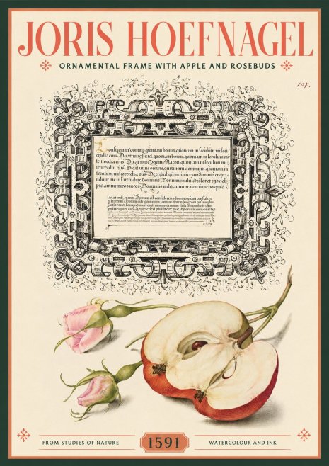 Joris Hoefnagel Illuminated Calligraphy and Botanical Study No3 - Póster