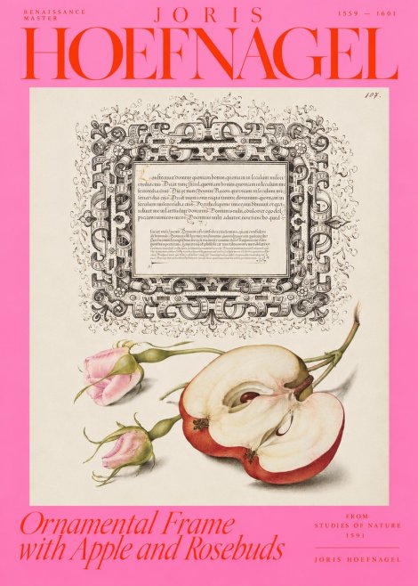 Joris Hoefnagel Illuminated Calligraphy and Botanical Study No4 - Póster